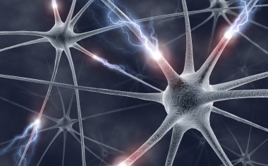 Welt-MS-Tag am 30. Mai: Die fünf wichtigsten Forschungsergebnisse der letzten 12 Monate