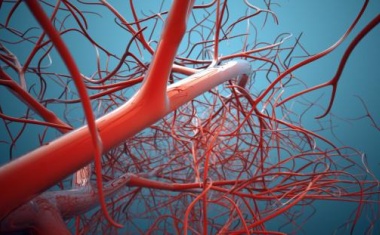 Tragbarer Venen-Checker: KI hilft bei Früherkennung von Thrombose