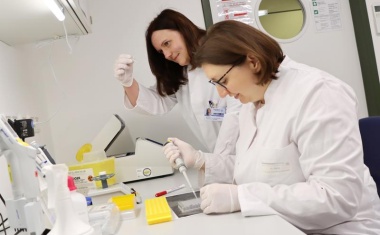 Stress lass nach! Wie ein Trauma entsteht und wieder geht