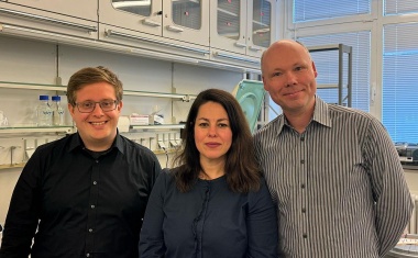 Angriffspunkt für die Therapie von Bauchspeicheldrüsenkrebs entdeckt