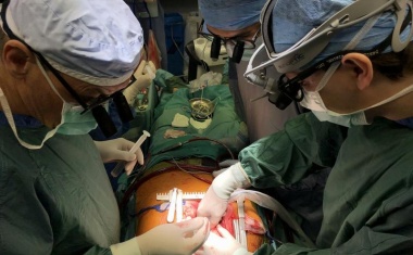 In Innsbruck gelingt es erstmals Herzmuskelzellen zu regenerieren