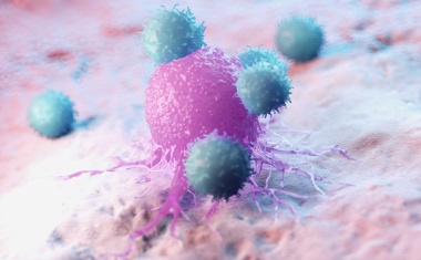 Therapie gegen Metastasen?