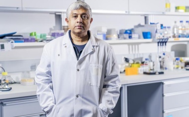 Brustkrebs-Charakterisierung mit KI