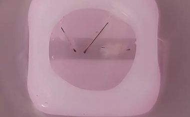 Haarfollikel-Modelle aus dem 3D-Drucker