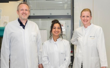 Bonner Forschende etablieren effizientes, kostengünstiges Verfahren zur Bildung von Endothelzellen aus Stammzellen