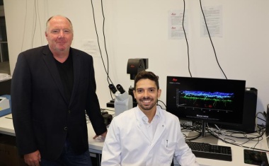 Wie sich Herz und Hirn nach einem Infarkt effektiver schützen lassen