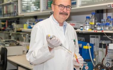 Anti-Aging und erhöhte Denkfähigkeit durch Cannabis