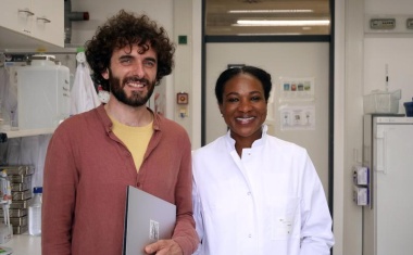 Mehr als die Summe der Teile