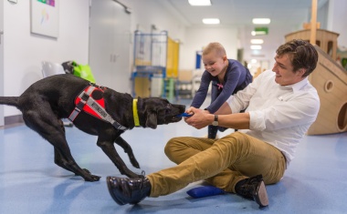 Therapiehund am Krankenbett: Hannibal und Flip ergänzen die Krebstherapie