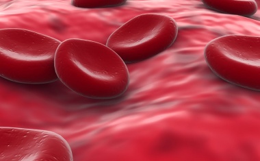 Neuer Bluttest für Therapie bei schwarzem Hautkrebs