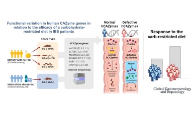 Reizdarmsyndrom: Anhand der Gene vorhersagen, ob eine Ernährungsumstellung helfen kann