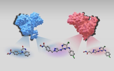 Ein „chemisches ChatGPT“ für neue Medikamente