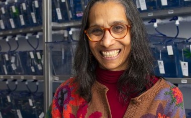 Robert-Koch-Preis für die Tuberkulose-Forscherin Lalita Ramakrishnan