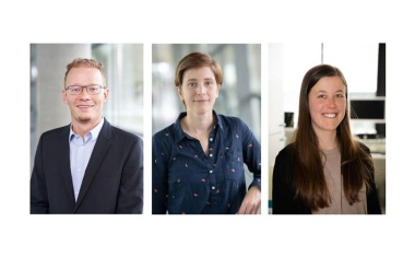 Diabetes-Schalter in der DNA