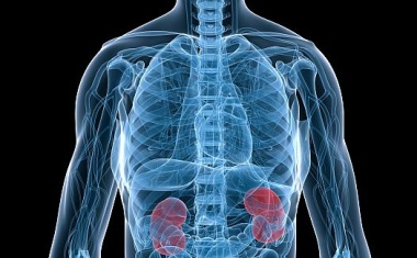 Chronische Nierenerkrankung: Studie zeigt aktuellen Handlungsbedarf auf