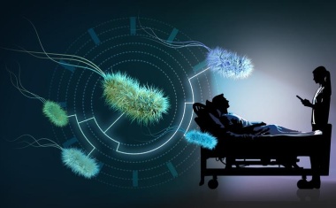 Behandlungsoptionen von Entzündungserkrankungen