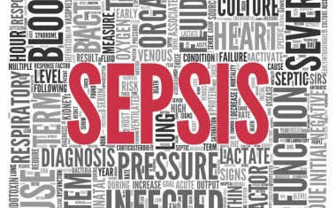 Durchbruch in der Sepsis-Therapie: erstes KI-Modell zur optimierten Antibiotikaauswahl