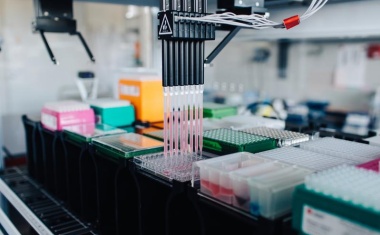 Erbgut als Schlüssel zur personalisierten Medizin