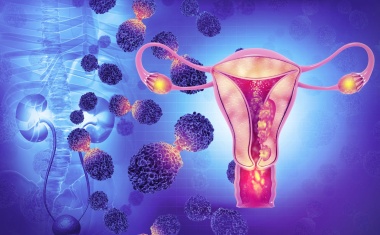 Greifswald: Vorreiter der medizinischen Robotik