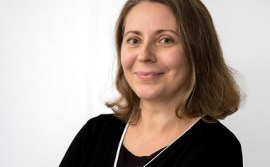 Neue Forschungsgruppe „Vascular Patterning Dynamics“