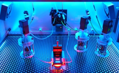 Bioreaktor ermöglicht automatisierte Langzeitkultivierung von Stammzellen