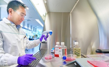Merck übernimmt HUB Organoids Holding und erweitert Next-Gen-Biologie-Portfolio