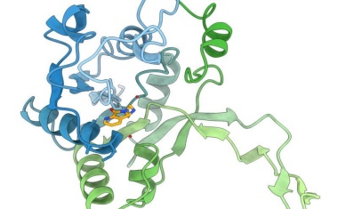 Gezielter Eingriff in den Stoffwechsel von Bakterien