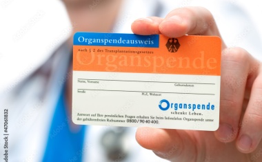 Organspendezahlen in Deutschland