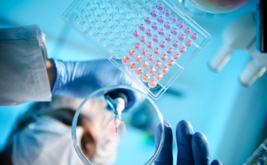 Was Medikamente bewirken