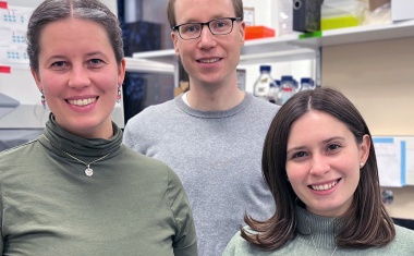 Gleich und doch verschieden