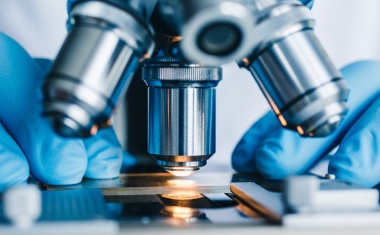 Automatische Zellanalyse mithilfe von KI