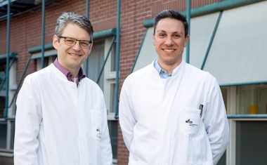 Wie kommen Viren in meine Mahlzeiten und wie kann ich mich gegen Krankheiten schützen?