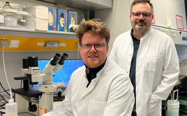 Neue Angriffspunkte gegen therapieresistenten Brustkrebs