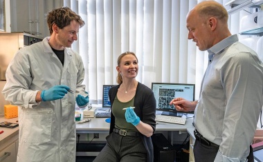 Schnelltests verbessern: DNA-Nanotechnologie steigert die Empfindlichkeit der Teststreifen