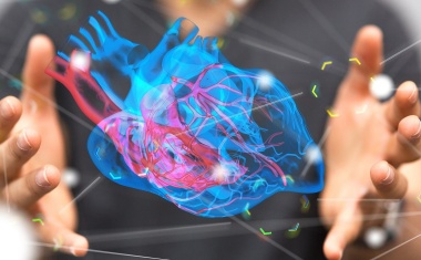 3D-Herz-MRT: Diagnose gefährlicher Rhythmusstörungen ohne Herz-Katheter