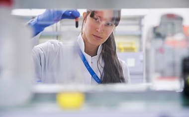 Zwei neue Sonderforschungsbereiche kommen an die Charité