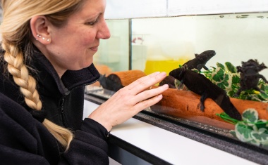 Amphibienhautschleim als mögliche Waffe gegen multiresistente Bakterien und Krebs