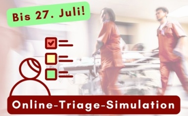 Online-Triage-Simulation