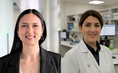 Unterstützung für Ulmer Nachwuchsprofessorinnen