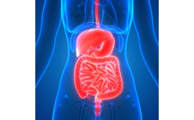 CAR-T-Zell-Therapie erstmals bei schwerer Darmerkrankung erfolgreich