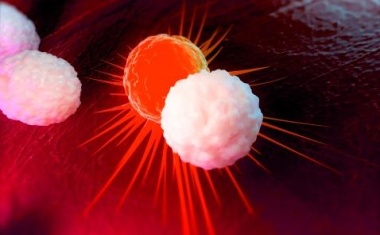 Krankenhaus Nordwest startet innovative Studie zu körpereigenen Immunzellen in der Krebstherapie