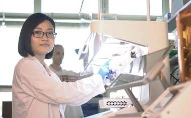 Hornhaut aus dem 3D-Drucker