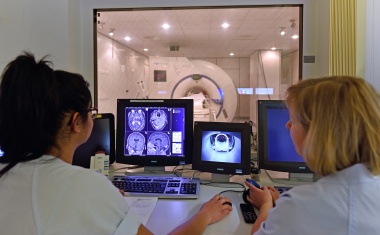 Wie Geschlechtshormone die Hirnstruktur beeinflussen