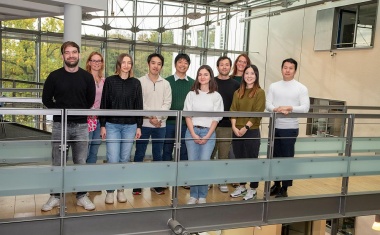 Unheilvoller Fehlalarm in der Niere