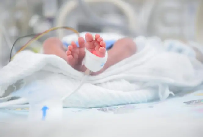 Früh geboren – immunologisch anders programmiert