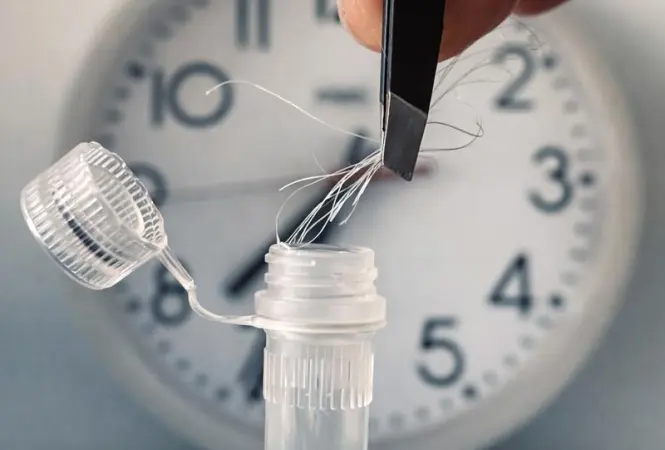 Die innere Uhr lässt sich an einer Haarprobe ablesen