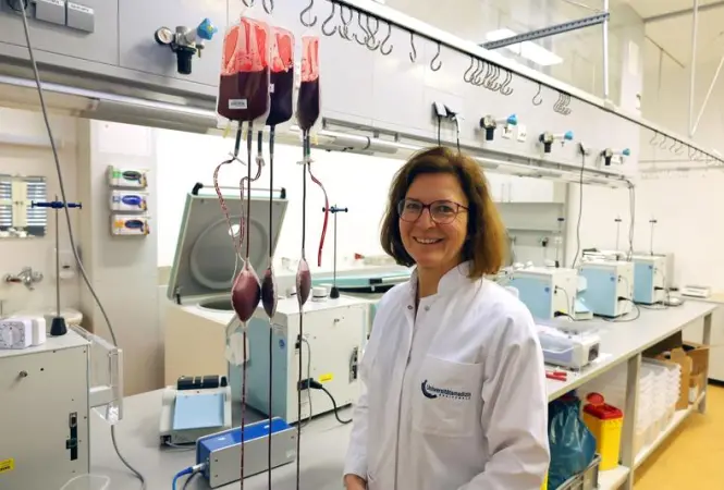 Verfahren zur Herstellung universellen Blutplasmas