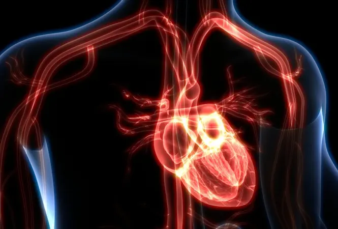 Gezieltere Herzdiagnostik durch KI
