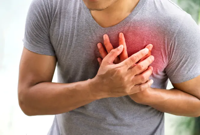 Möglicher neuer Therapieansatz zur Vorbeugung von Herzinfarkten und Schlaganfällen entdeckt