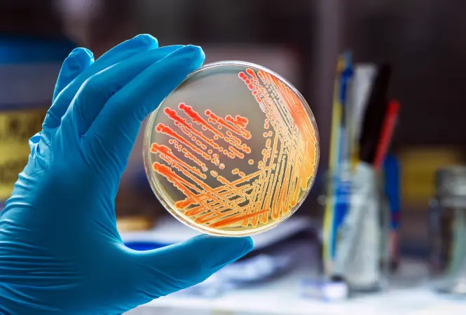 Mikrobiologie der Zukunft - warum Technologie allein nicht ausreicht